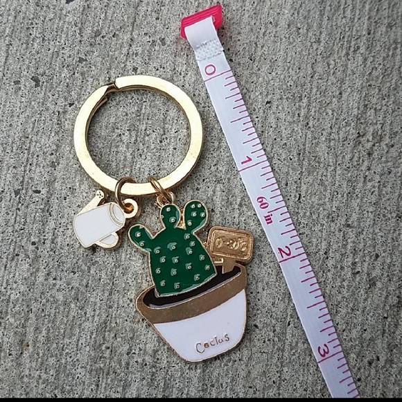 Cactus Succulent keychain - Picture 2 of 3
